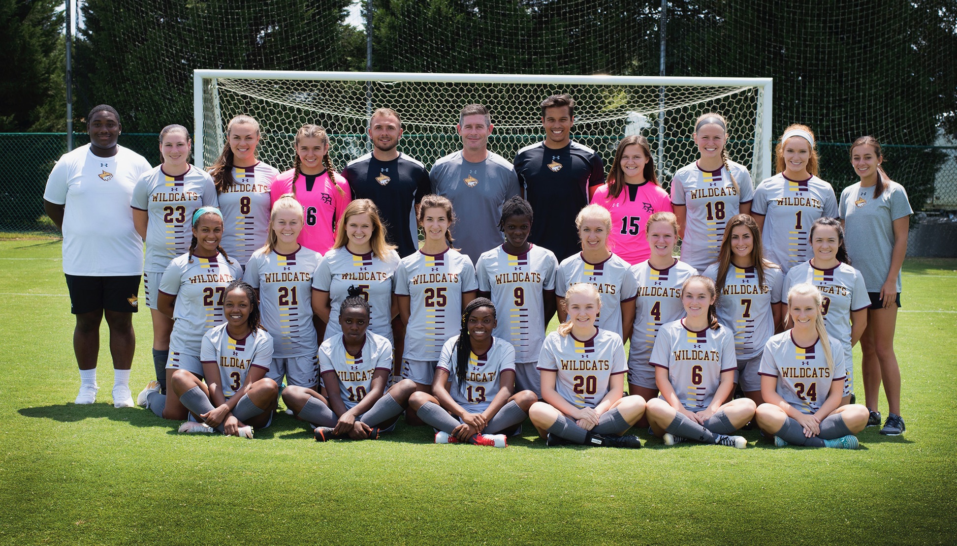 Lady Wildcats stumble on the road
